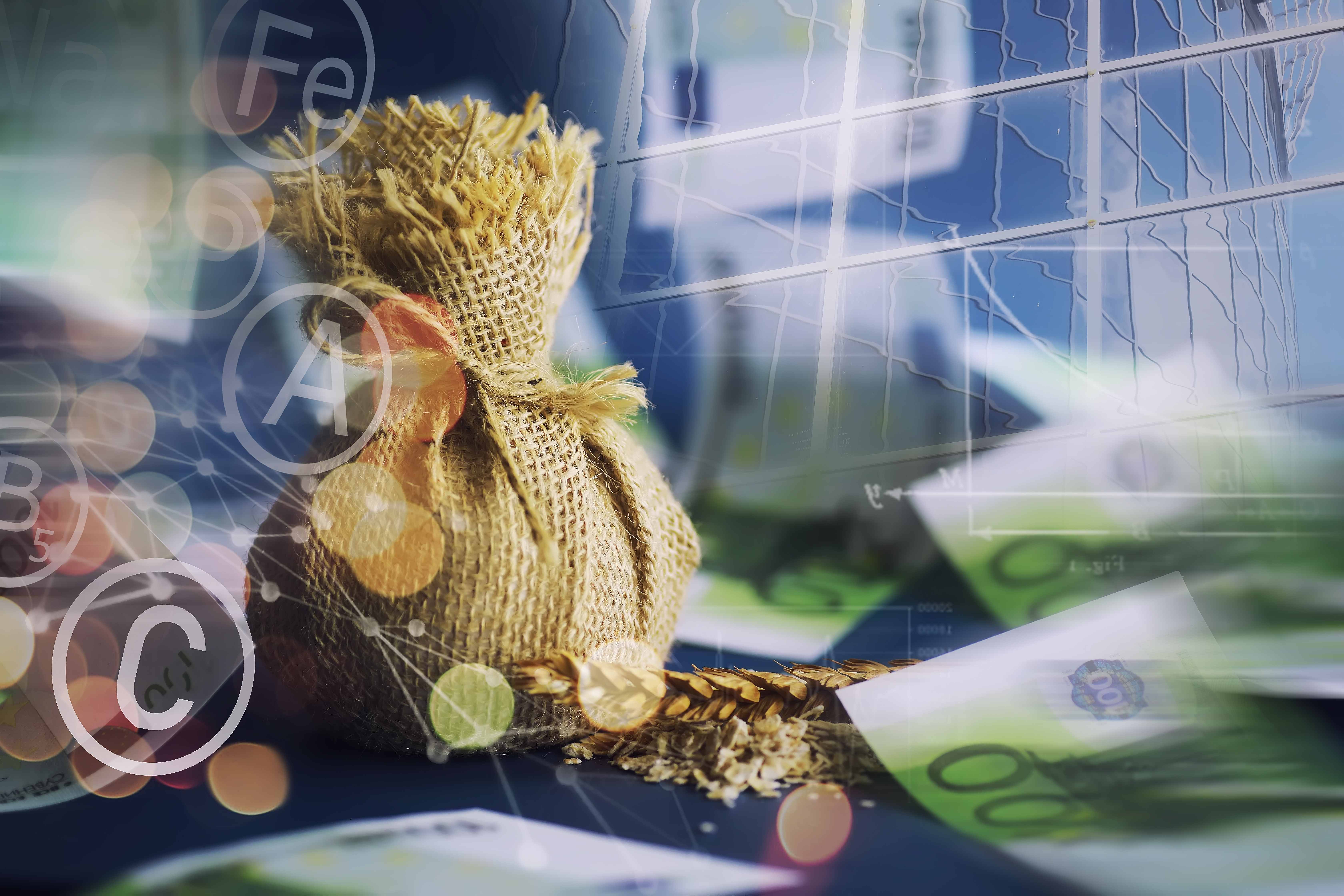 Редкие и нестандартные случаи использования капитала